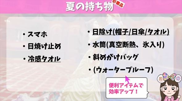 夏のディズニーに必要なものまとめ