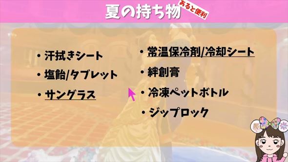 夏のディズニーに必要なものまとめ