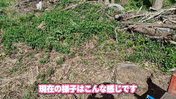 90万円で購入した敷地1500坪の古民家