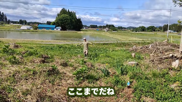 90万円で購入した敷地1500坪の古民家