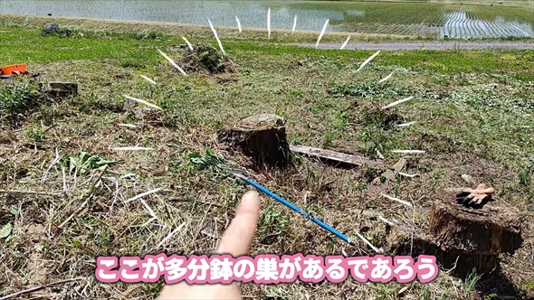 90万円で購入した敷地1500坪の古民家