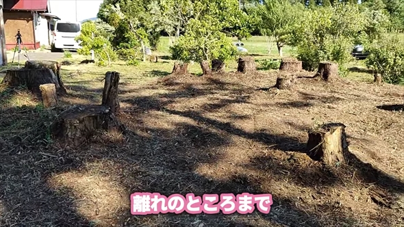 90万円で購入した敷地1500坪の古民家