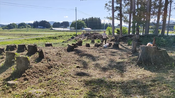 90万円で購入した敷地1500坪の古民家