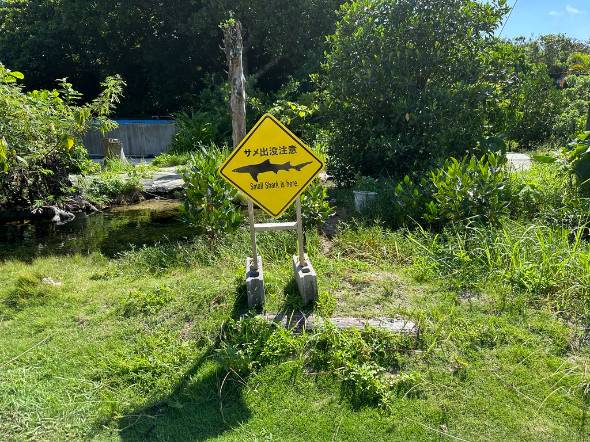 まきのじさんが投稿した黒島研究所のサメの看板