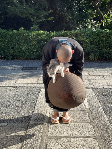 住職に抱っこされている猫ちゃん