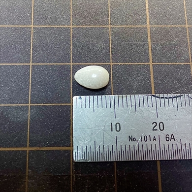 ホタテから真珠を計測