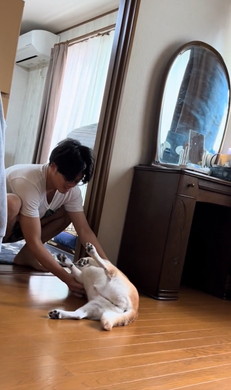 お兄ちゃん大好き柴犬