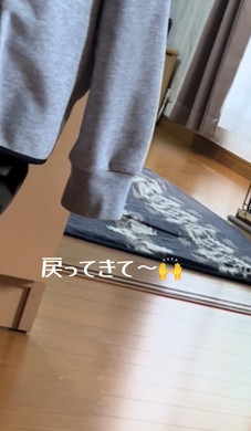 お兄ちゃん大好き柴犬