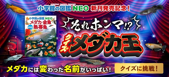 『小学館の図鑑NEOメダカ・金魚・熱帯魚　DVDつき』の発売を記念した「それホンマ!?　クイズメダカ王」