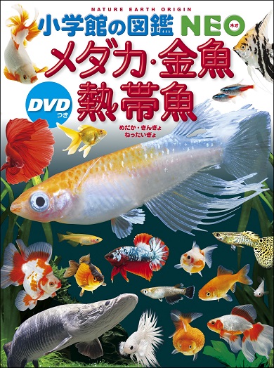 『小学館の図鑑NEOメダカ・金魚・熱帯魚　DVDつき』の書影