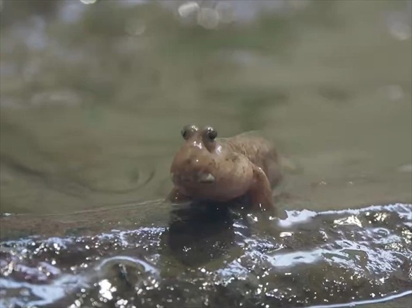 おすすめ
