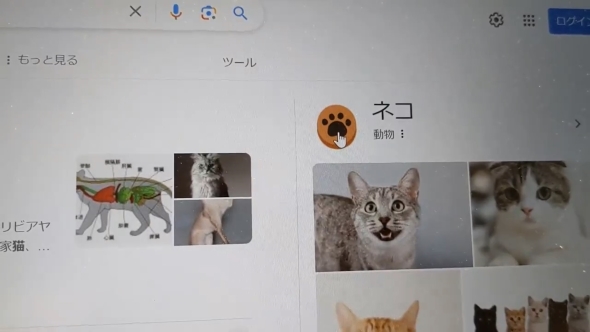 Googleの検索エンジンの隠し機能