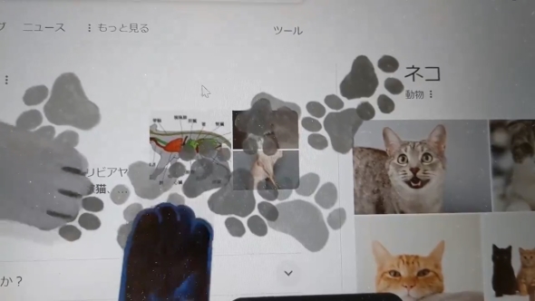 Googleの検索エンジンの隠し機能