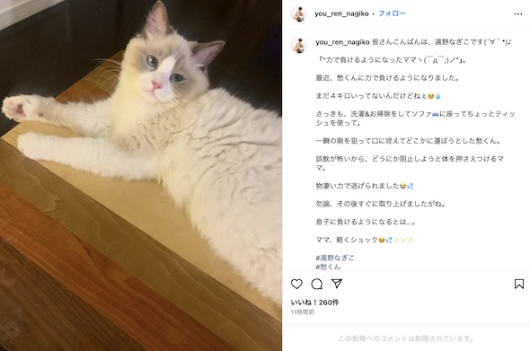 遠野なぎこInstagram