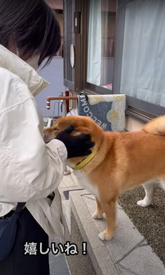 新聞屋さんが大好きなワンコ