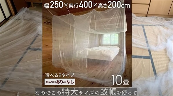 坪庭の蚊除け対策DIY