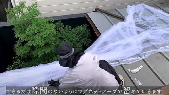 坪庭の蚊除け対策DIY