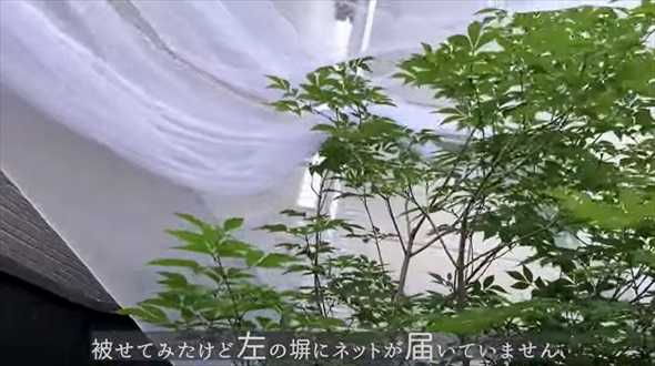 坪庭の蚊除け対策DIY
