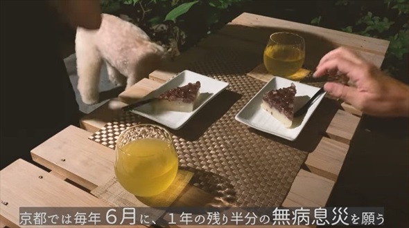 坪庭の蚊除け対策DIY