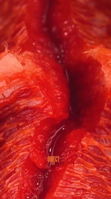 普段は見えないミクロな世界