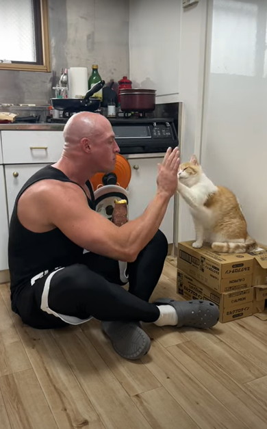 芋を取りあう飼い主と猫