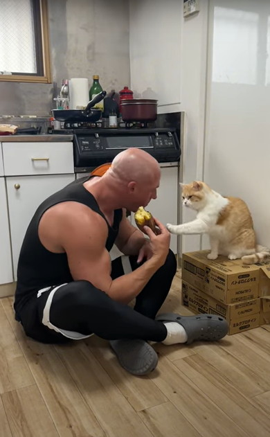 芋を取りあう飼い主と猫