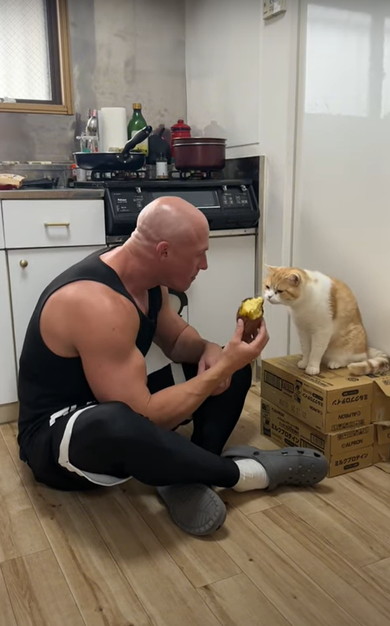 芋を取りあう飼い主と猫