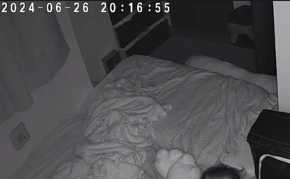 見守りカメラで娘ちゃんを確認したら