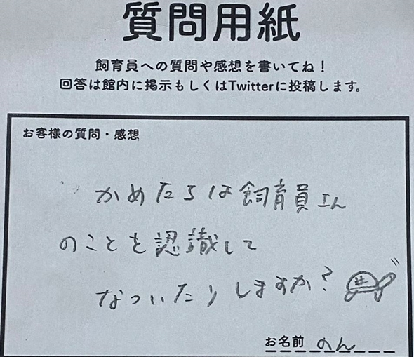 亀の飼育員さんの本音