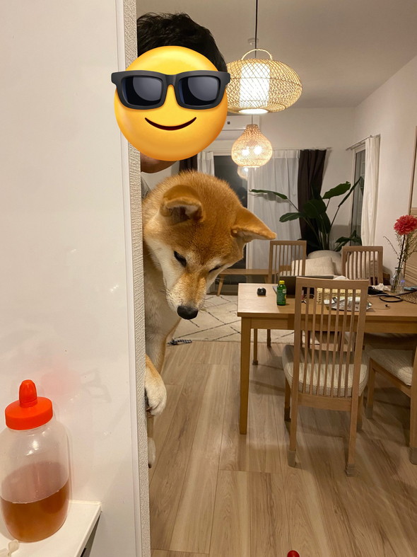 のぞいてるワンコ