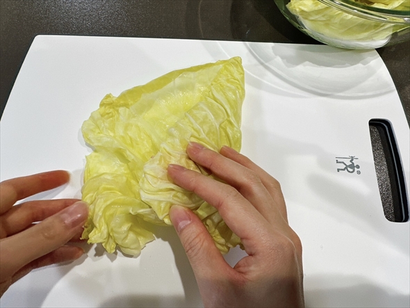 ねとめし キャベツ レシピ