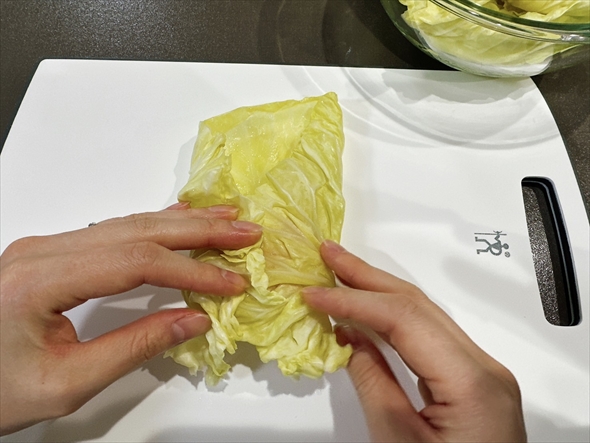 ねとめし キャベツ レシピ