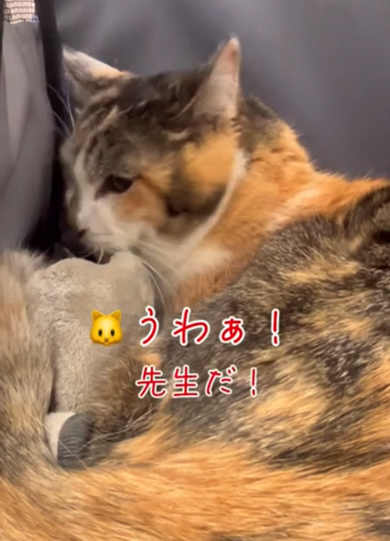 先生と目が合い「うわぁ！」と一言