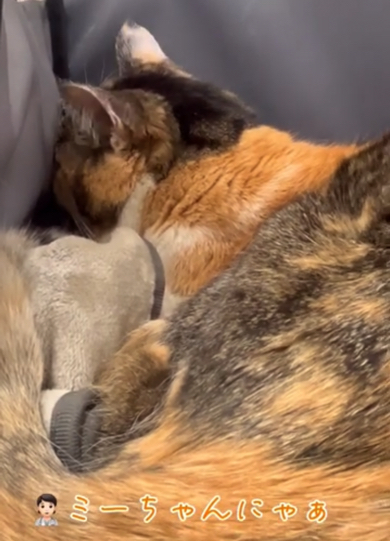 優しく名前を呼び続けます