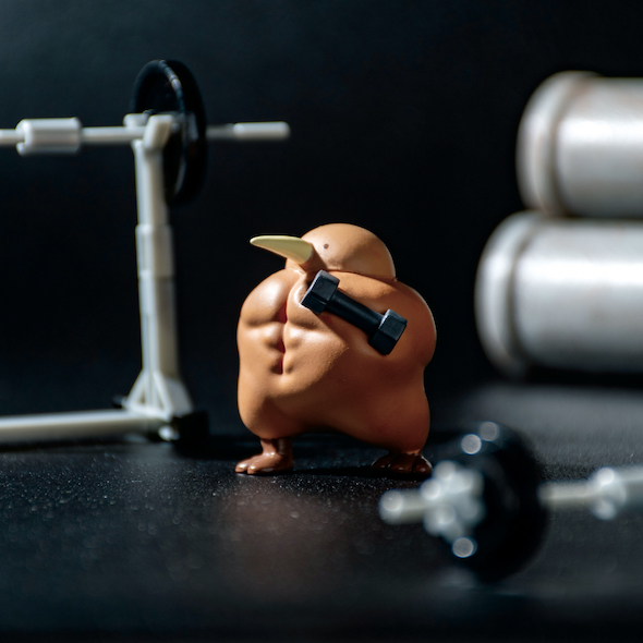 ムキムキーウィ 筋肉 フィギュア