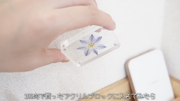 押し花