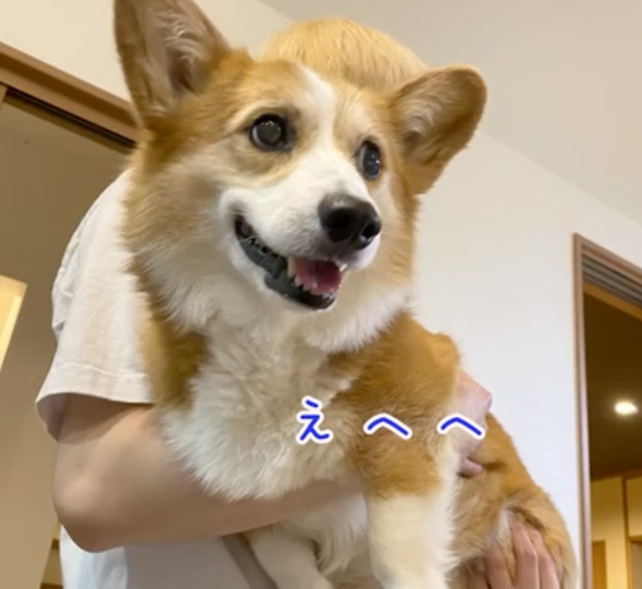 母よりお兄ちゃんが大好きなワンコ
