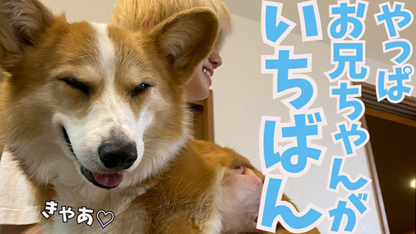 母よりお兄ちゃんが大好きなワンコ