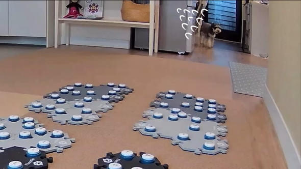 猫ちゃんに会話ボタンで話しかけるワンコ