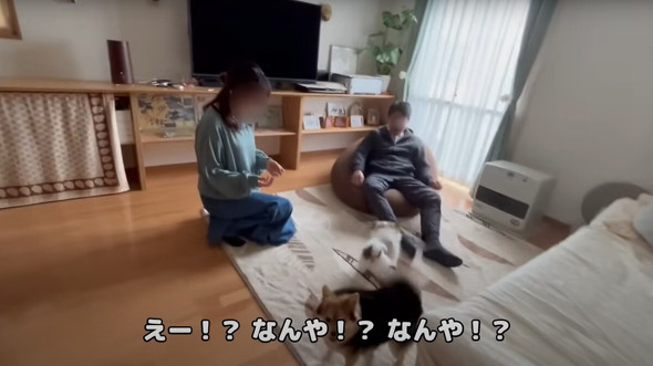 犬好き夫婦にサプライズ