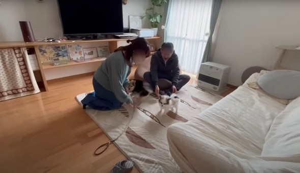 犬好き夫婦にサプライズ