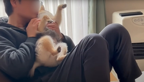 犬好き夫婦にサプライズ