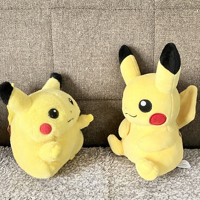 ピカチュウのぬいぐるみの歓迎会と交流会