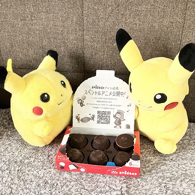 ピカチュウのぬいぐるみの歓迎会と交流会