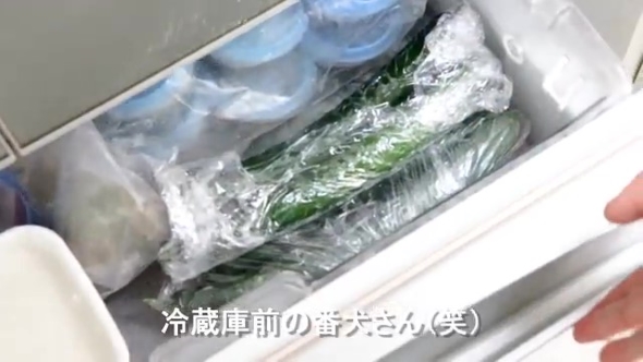 きゅうりを冷凍庫に入れる画像