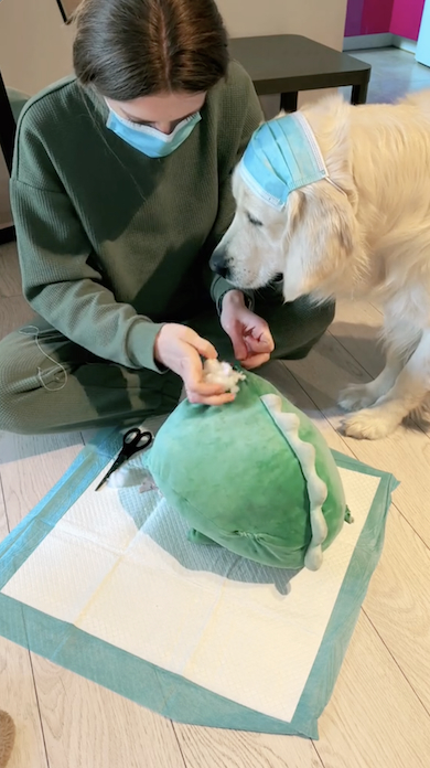 ぬいぐるみ補修に寄り添うゴールデンレトリバー