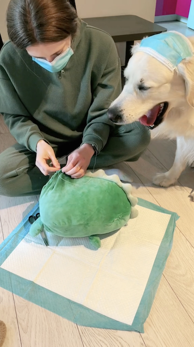 あくびするゴールデンレトリバー