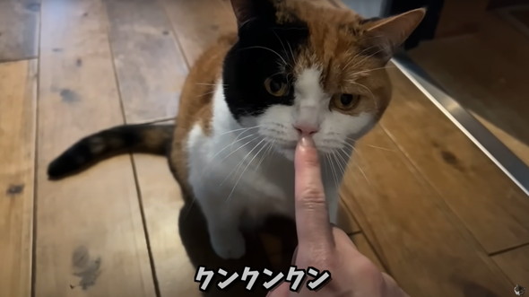 おすすめ