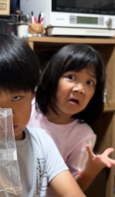 生八ツ橋の皮の食べ方