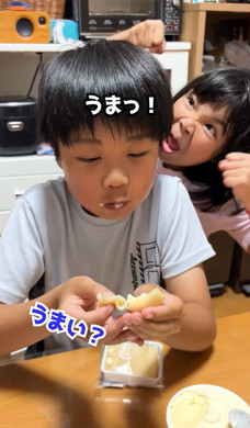 生八ツ橋の皮の食べ方